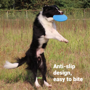 Yaratıcı köpek uçan disk özel Logo yüksek irtifa güç disk köpek interaktif oyuncak - Product Image 4