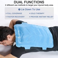 Compresse froide et chaude multifonction pour les hanches et le dos, sac de glace pour soulager la douleur, physiothérapie à domicile, coussin en flanelle rafraîchissant réutilisable, classe II