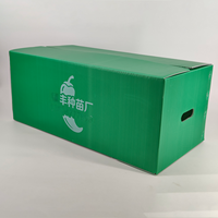Caisse à poivrons ventilée GreenTree en PP recyclable et écologique, en panneaux alvéolés, pour la logistique des récoltes agricoles et des légumes