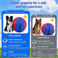 Ballon de dressage anti-éclatement avec housse en nylon amovible, ballon de jeu gonflable double couche 18/22/25 pouces