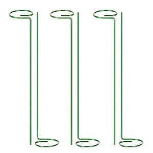 <span class=keywords><strong>Support</strong></span> de tige d'orchidée en métal Piquets d'anneau de soutien de fil de <span class=keywords><strong>plante</strong></span> de jardin d'intérieur pour l'intérieur - Product Image 5