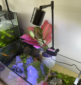 Lámpara <span class=keywords><strong>LED</strong></span> Giratoria para <span class=keywords><strong>Acuario</strong></span>, 7W, 3 Modos de Color, Clasificación IP65, Aluminio, Regulable, para Cultivo de Plantas de Agua Dulce - Product Image 1