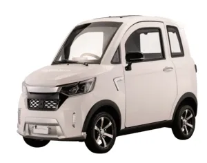 2024 Nhà cung cấp nhà máy EEC Mini EV xe điện mini xe ô tô điện 3 chỗ ngồi trên bán người lớn mini xe điện