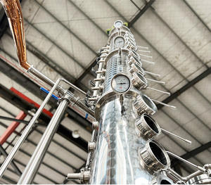 Équipement de distillation de distillateur de colonne de <span class=keywords><strong>prix</strong></span> usine pour les alambics de Moonshine pour le vin de gin de whisky - Product Image 3