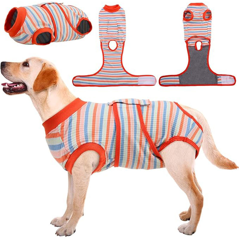 ลายทางที่มีสีสัน