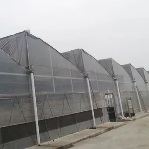 온실 골격 강관 필름 채소 재배 사육 차광 단열재 및 연결된 온실