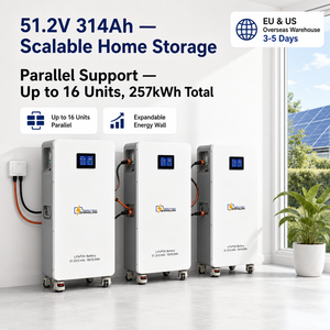 แบตเตอรี่โซลาร์สำหรับที่อยู่อาศัย 51.2V 300Ah LiFePO4 15.36kWh ระบบกักเก็บพลังงาน พร้อม Smart BMS แอปพลิเคชันบนคลาวด์ และอายุการใช้งาน 6000 รอบ - Product Image 2