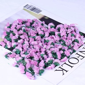Capullos de Flores Secas Blancas Puras de Alta Calidad, 1 kg/bolsa, Cabezas de Flores de No <span class=keywords><strong>Me</strong></span> Olvides Preservadas para Manualidades, Decoración de Fiestas, Confeti de Boda - Product Image 5