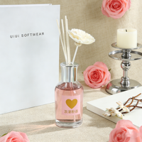 Diffuseur de parfum d'ambiance étoilé et rêveur, ensemble de diffuseur à bâtonnets d'huiles essentielles sans flamme pour aromathérapie, en bouteille de verre