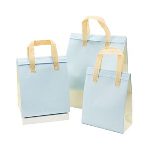 Sac isotherme jetable biodégradable pour restaurant à emporter, non tissé, avec feuille d'aluminium pour thé au lait, café, échantillon gratuit - Product Image 4