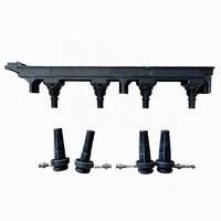 OEM 245101 2501003 21597716-4 Auto Engine Common Rail EW10A Ignition Coil Assembly for DONGFENG AX7 2.0 307 407 807 C4 C5