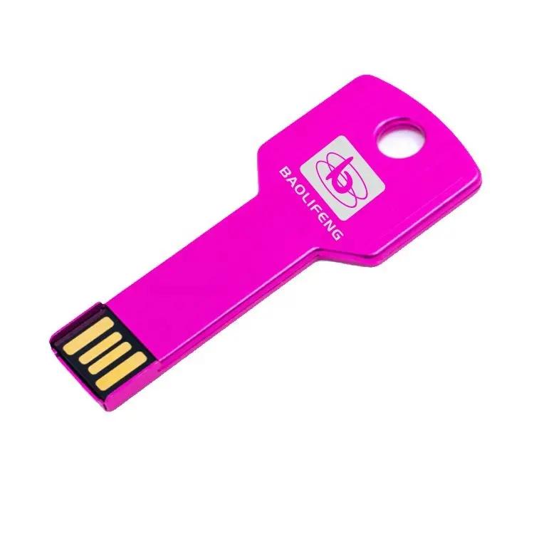 China factory directly metal key shape usb stick A grade usb chips cheap prices thumb drive compatible with computers laptops