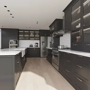 كاملة أسود اللون الاكريليك المطبخ تصميم الحديثة الخزائن ل أثاث المطبخ مطبخ مجلس الوزراء