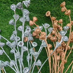 Semillas de <span class=keywords><strong>eucalipto</strong></span> PPS12, flores secas naturales de alta calidad, frutas para decoración del hogar, Color dorado y plateado para el Día de San Valentín, China - Product Image 3
