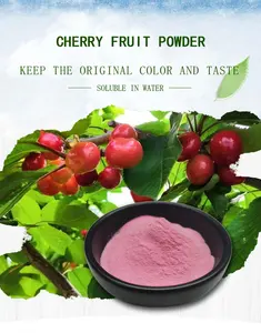 Factory Supply Wholesale Best Price Cherry Juice Powder Cherry Powder