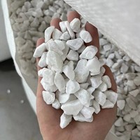 Pierre concassée multicolore 10-30 mm, gravier naturel écologique, durable, décoratif, pour aménagement paysager, allée de jardin, allée de voiture