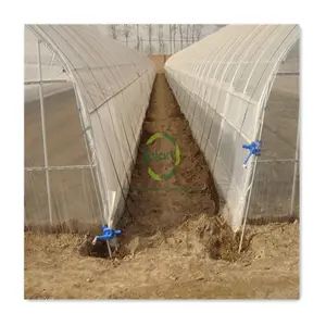 Rodent Proof Single Span Pe Film Snail Farming Sprayer Trolley Greenhouse With Tomato Growing System Large