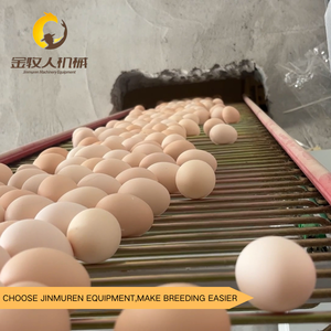 Jaula para Gallinas Ponedoras Tipo H con Superficie <span class=keywords><strong>de</strong></span> Alambre Fino y Liso, Galvanizada, Evita que las Patas <span class=keywords><strong>de</strong></span> las Gallinas se Rayen - Product Image 3