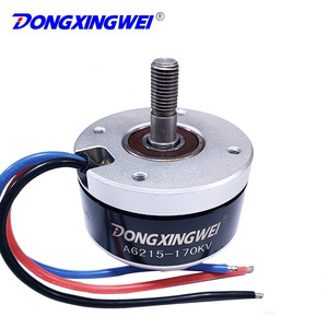 มอเตอร์ไร้แปรงถ่านแบบโรเตอร์ภายนอก Dongxingwei รุ่น 6215 36V 1.7Nm แรงบิดสูง สำหรับเครื่องตัดหญ้า - Product Image 5