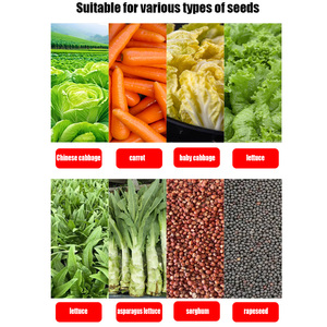 Manual Portable Multi-functional <b>Vegetable</b> Carrot Onion <b>Planter</b> Spinach Rapeseed Radish Cabbage Small Seed Seeder High Efficienc - Product Image 2