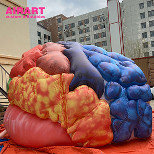 Modèle d'organe cérébral gonflable pour les événements d'éducation en <span class=keywords><strong>neurologie</strong></span> - Product Image 6
