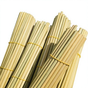 Pajitas ecológicas de hierba a precio económico de Eco2go Vietnam - Pajitas vegetales 100% naturales y biodegradables - Product Image 1