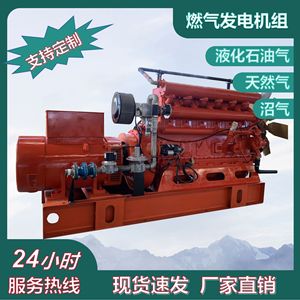 Groupe électrogène au gaz GPL/GNC, moteur rouge à faible niveau sonore pour la production d'énergie - Product Image 5