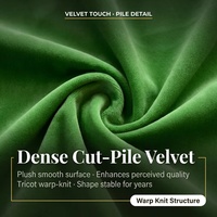 Tissu de canapé en velours uni imperméable multicolores 100% polyester tricoté pour l'ameublement textile, produit chinois