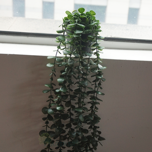 Chậu Cây Giả Mini Trang Trí Trong Nhà Chậu Cây Treo Tường Nhân Tạo Giá Rẻ Bán - Product Image 4