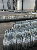 Alambre de Acero Galvanizado en Caliente Dake Q195 Q235 BWG8-BWG24, Alambre GI Suave para Atar, Venta al por Mayor de Fábrica para Cercas de Viñedos