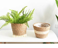 Vente flash : 4 modèles différents de pots de plantes en herbe de mer naturelle durable avec doublure en plastique pour le rangement dans la pièce, panier en paille