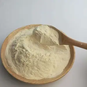 Pó de proteína de feijão de produção profissional, proteína isolada orgânica saudável