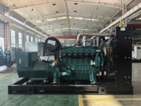 Groupe électrogène au gaz de 300 kW Gaz naturel Biogaz 1800 tr/min Moteur Weichai Démarrage électrique 24 V CC 50/60 Hz Économie d'énergie Haute efficacité