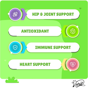 כורכום לכלבים-אנטי דלקתי הקלה לועס רך כורכום <span class=keywords><strong>bioperine</strong></span> <span class=keywords><strong>bioperine</strong></span> נוגד חמצון 120 טבליות לעיסה מהיר - Product Image 2