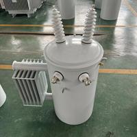 10KVA-100KVA 10KV 11KV étape double tension monophasé monté sur poteau ONAN immergé dans l'huile refroidissement DingXin D11 prix du transformateur