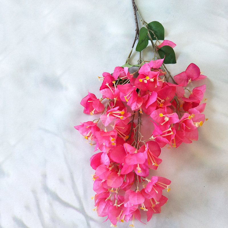 Rose Madder