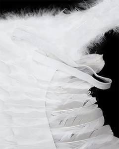 Ailes <span class=keywords><strong>d</strong></span>'<span class=keywords><strong>ange</strong></span> <span class=keywords><strong>et</strong></span> Halo pour enfants Costume <span class=keywords><strong>d</strong></span>'<span class=keywords><strong>ange</strong></span> ailes de plumes pour adultes sont utilisés pour les Festivals importants comme Halloween noël - Product Image 5