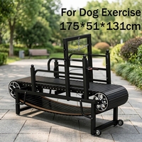 Tapis roulant pour chien EUR PET Heavy Duty, machine de fitness pour chien, tapis roulant non motorisé