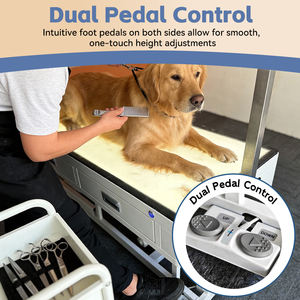 Table de toilettage pour animaux de compagnie professionnelle de 50 pouces avec éclairage LED, pompe à pied électrique réglable et tiroirs - Product Image 2