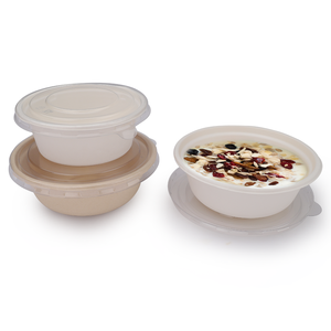Disposable Biodegradable Bowls Soup Takeaway Sugarcane Bowl Food Container