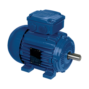 Moteur asynchrone triphasé WEG W21 à démarrage direct en ligne, haute efficacité, 50/60 Hz, 0,55 kW ~ 355 W, montage B3T, AC W21 Weg W21 - Product Image 2