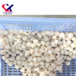 Máquina Peladora de Lichi, Máquina para Quitar la Piel de Lichi y Longan - Product Image 2