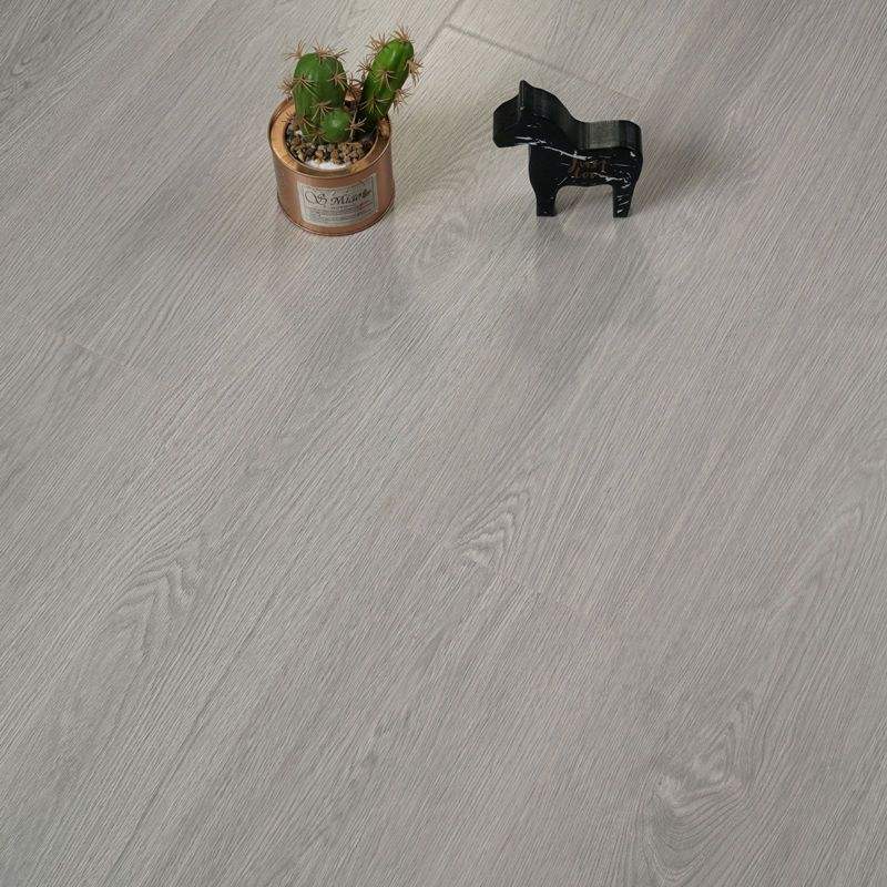 017-10Mm foot line plastic film special price