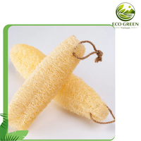 Vases en céramique, éponge de loofah naturelle du Vietnam, LOOFAH écologique, forme naturelle, bruts, DIY, décoration intérieure, taille personnalisable