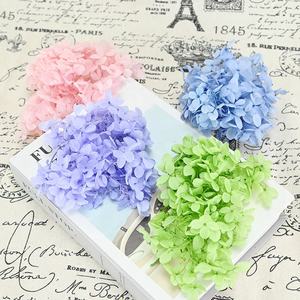 Flor Eterna de Hortensia 20g, Regalo de San Valentín, Decoración para el Hogar, Sala de Estar - Product Image 1