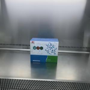 Kit de Investigación ELISA para el Antígeno de Superficie del Virus de la Hepatitis <span class=keywords><strong>B</strong></span> del Ratón (HBsAg) - Product Image 6