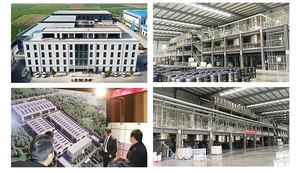 Pittura per Esterni ad Alta Durezza, Resistente allo Sfregamento, Ecologica, Senza Inquinanti, Impermeabile, con Effetto Testurizzato - Product Image 5