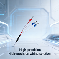 Sonde de température RTD en acier inoxydable, étanche IP67, anti-explosion, résistante à la corrosion, haute précision, OEM ODM