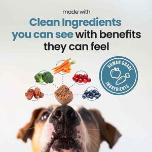 Golosinas Masticables Suaves para Perros de Marca Privada ODM/OEM, Apoyo Inmunológico, Probióticos, Salud Intestinal, Digestión, Suplementos para la Piel, Digestión Sensible y Rápida - Product Image 3