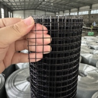 Grillage en fer soudé noir carré, revêtu de PVC, qualité construction, pour clôture de jardin, enclos à poules, avec soudure